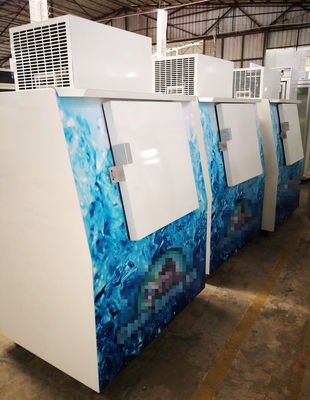 Slanted Solid Door Bagged Ice Merchandiser